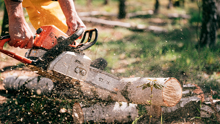 Image tronçonneuses